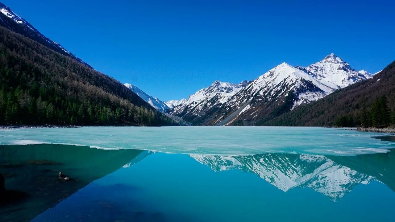 Озеро м 2 0 2. Кучерлинские озёра, Алтай. Кучерлинское озеро горный Алтай. Нижнее Кучерлинское озеро. Озеро Кучерла горный Алтай.