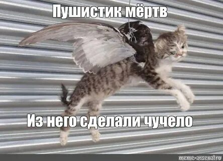 Скинь деньги пушистик