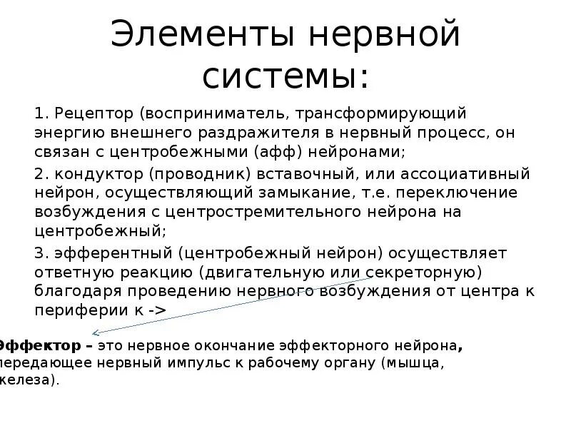 Иерархического соподчинения элементов нервной системы. Основные элементы нервной системы. Основные морфологические элементы нервной системы. Основные структурные элементы нервной системы. Охарактеризуйте основные структуры элементов нервной системы.