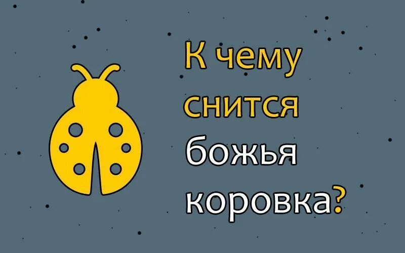 Сон коровка. К чему снится Божья коровка. Сон Божья коровка. Божья корокоровка во сне. Во сне приснилась Божья коровка.