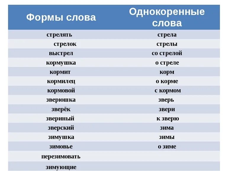 Слова из 6 первая первая по. Форма слова. Форма слова примеры. Формы слова и однокоренные слова. Формы одного слова примеры.