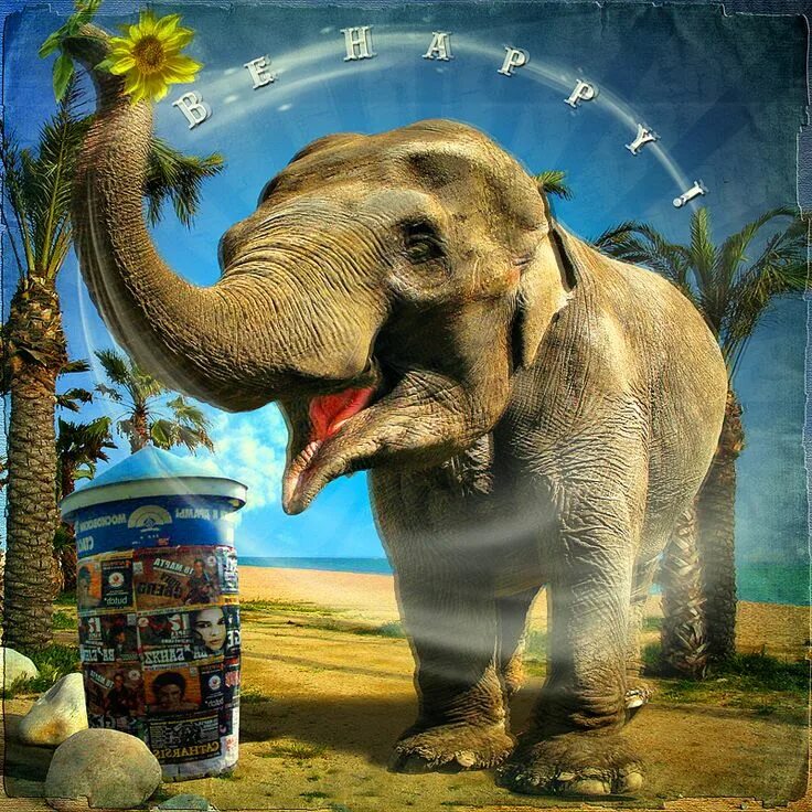 Happy elephant. Открытки слоники. Добрый Слоник. Доброе утро слоны. Картина слон.