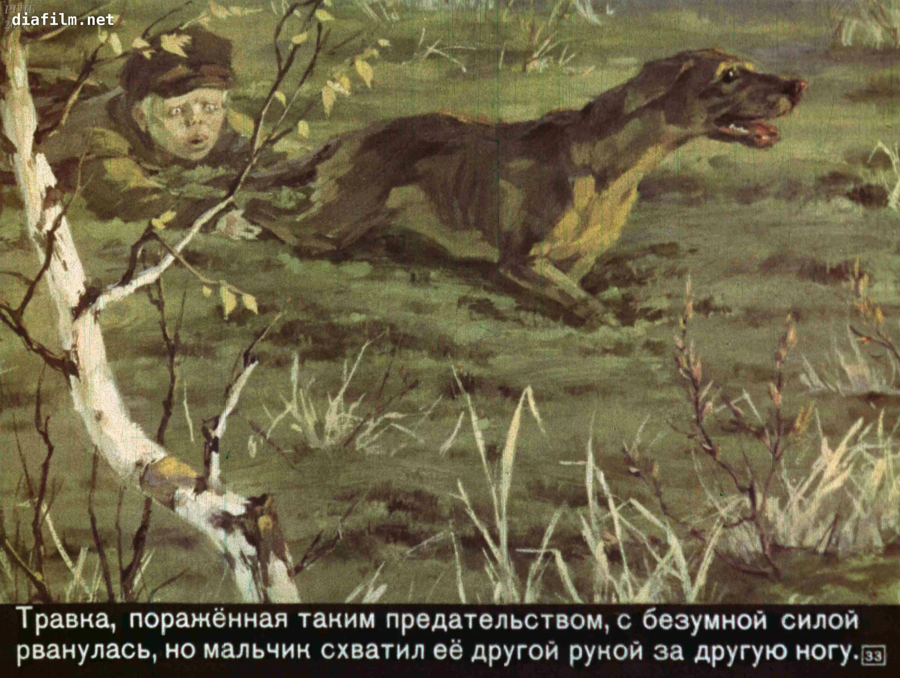 пришвин кладовая солнца. м пришвин кладовая солнца митраша и настя. м. «кладовая солнца» м. пришвин настя и митраша.