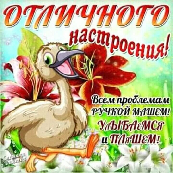 Отличного дня веселые