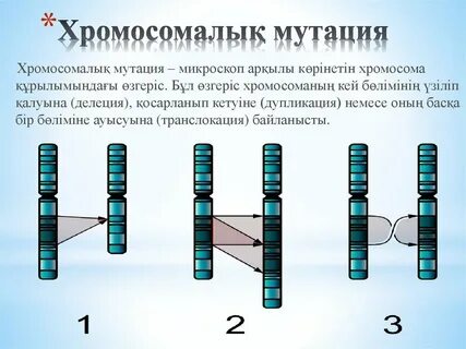 Playboy журналының порномодельдері