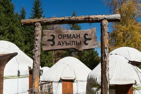 Oi qaragai