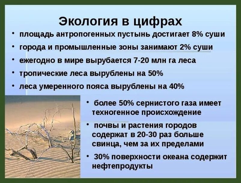 Интересные факты об экологии. Интересные факты на тему экологии. Интересные факты про экологические проблемы. Экологические факты интересные. Проблема экологии факты