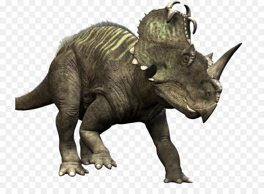 Цератопсы. Цератопс и Трицератопс. Моноклон Цератопс. Протоцератопс Трицератопс Стиракозавр. Динозавр Альбертацератопс.