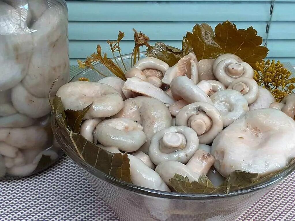 Лучший рецепт засолки