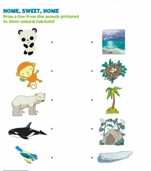 Animal Habitat for Kids. Habitats Worksheets. Animals and their Habitats. Animals Habitats Worksheets for Kids Worksheets.