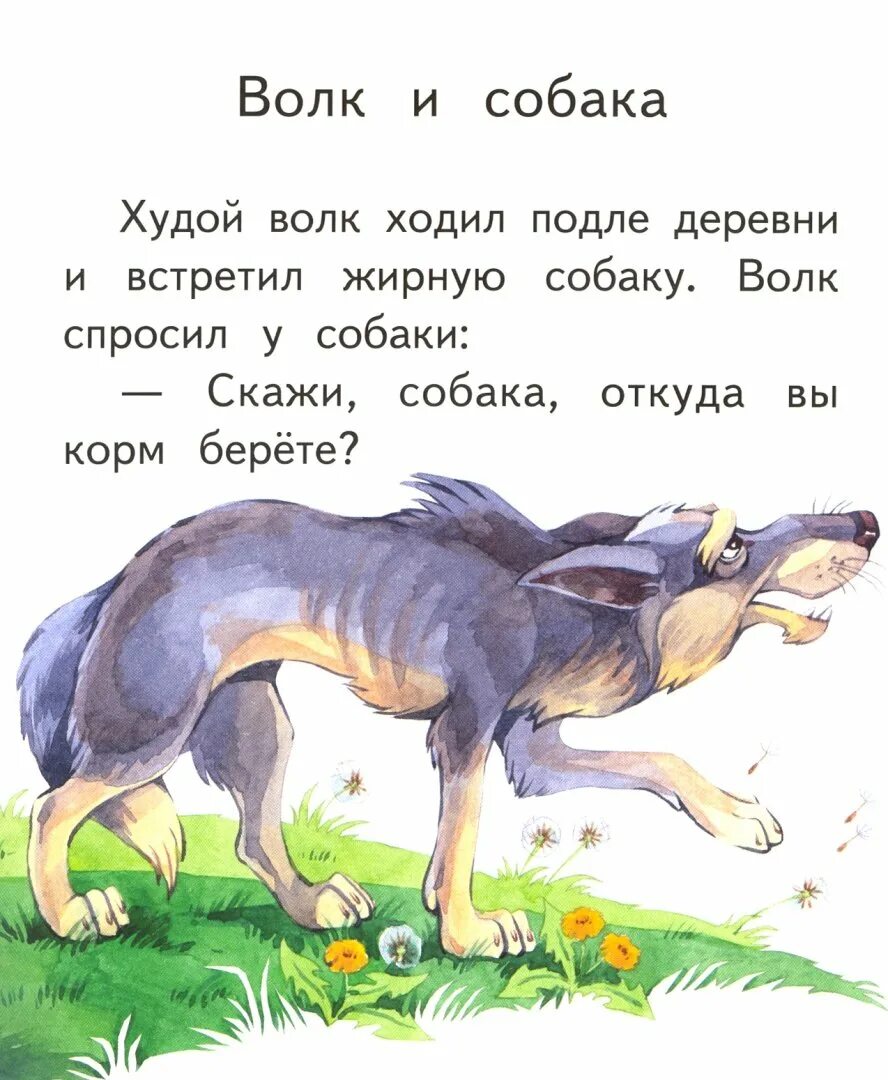 Басни Льва Толстого волк и собака. Басня волк и собака толстой. Сказка про собаку. Собака и волк сказка. Текст волк и собака