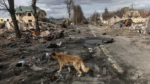 Видео бучу