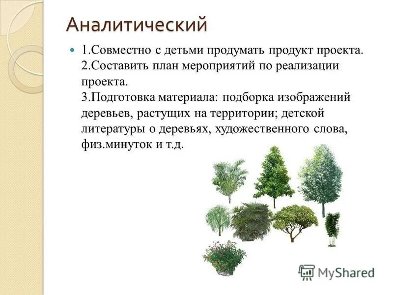 рисование в старшей группе. деревья средняя группа. деревья и кустарники средняя группа. планирование деревья старшая группа. 91).