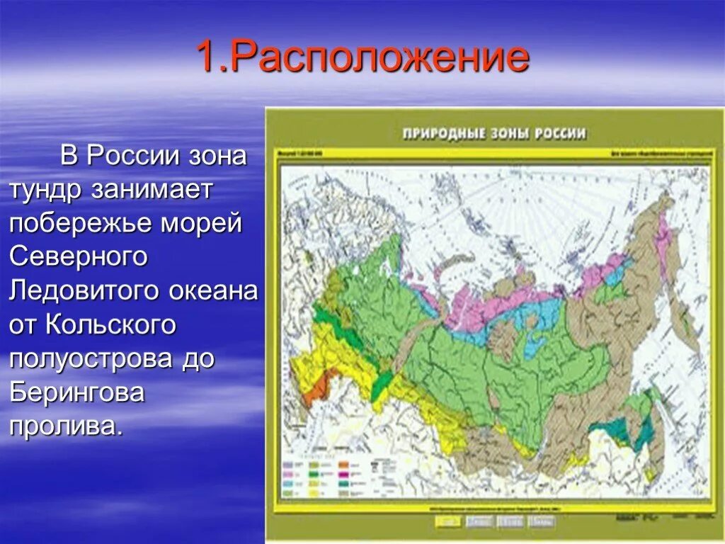 Зона тундры расположена на севере россии