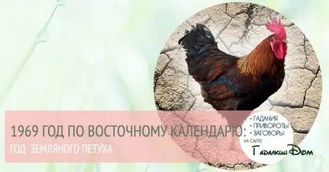 Какой год 1969 по восточному календарю