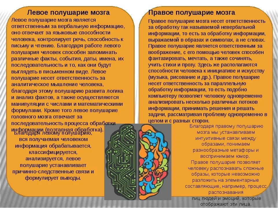 Правое полушарие. Левое и правое полушарие мозга. За что отвечает левое и правое полушарие. За что отвечает левое полушарие мозга.