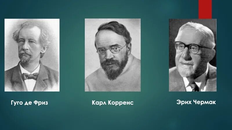 Де фриз корренс чермак