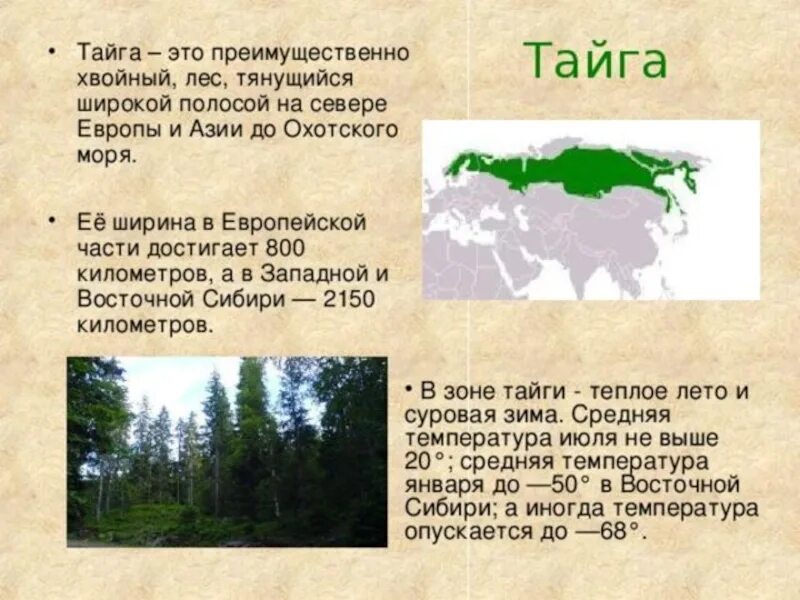 Определите природную зону по описанию