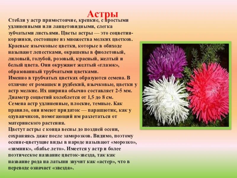 Биология 7 класс тема декоративные растения