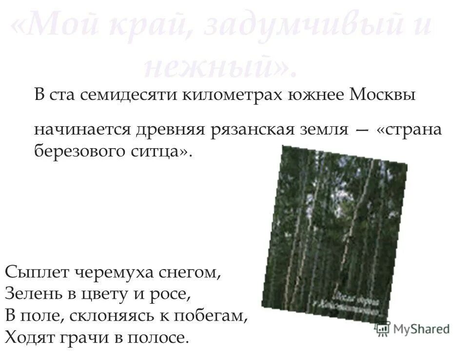 россия страна березового ситца. люблю тебя моя россия. черно белый березовый ситец текст. черно белый березовый ситец текст. черно белый березовый ситец текст.