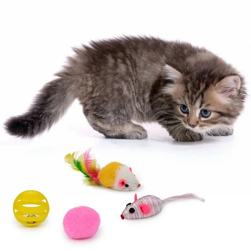 Фото игрушек для кошек