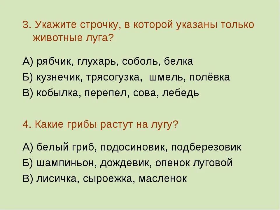 Составьте кроссворд природное сообщество выбрав одно луг. Кроссворд на тему природное сообщество луг.