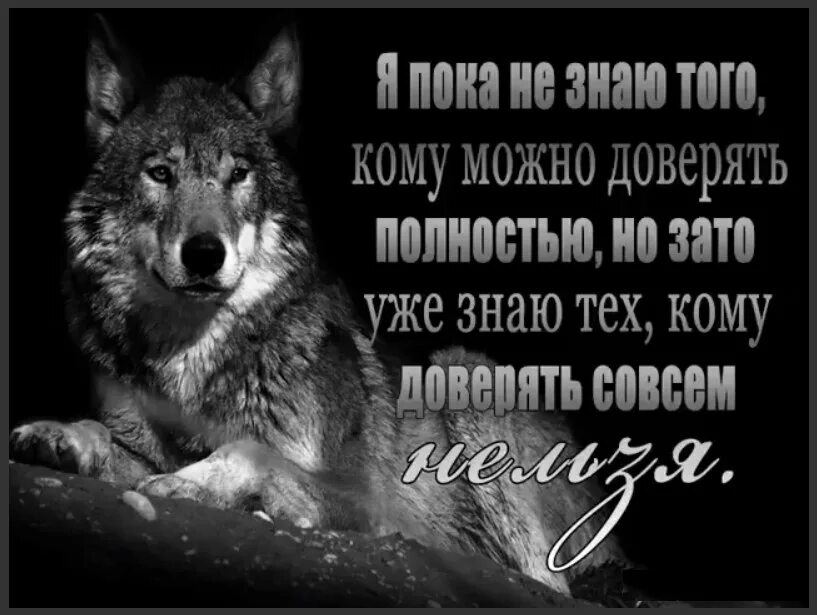 Не верьте доверию. Не верь не кому. Не верь никому цитаты. Кому можно доверять картинки. Кому нельзя доверять.