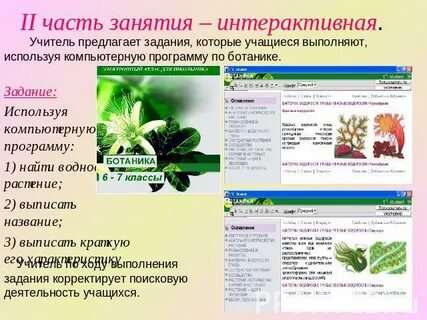 Тайны жизни растений