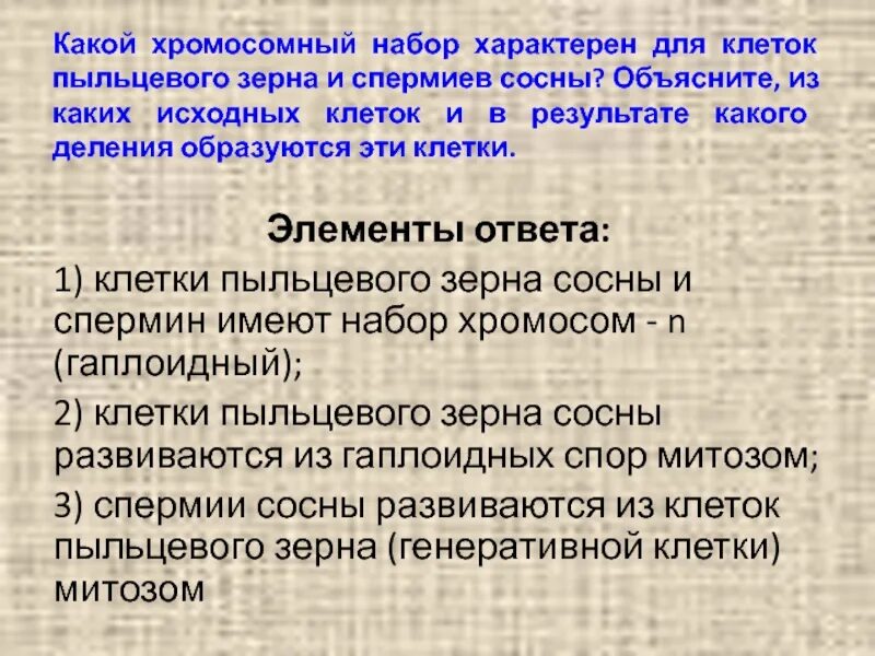 Какой набор хромосом имеют спермии. Хромосомный набор клеток мякоти иголок. Хромосомный набор пыльцевой трубки сосны. Хромосомный набор пыльцевого мешка сосны. Какой хромосомный набор характерен для клеток хвоинок и спермиев ели.