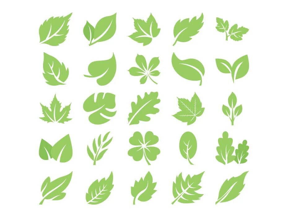 Лист иконка. Векторный лист дерева. Векторные листья. Лист логотип. Leaves icon