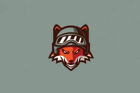 Fox pilot