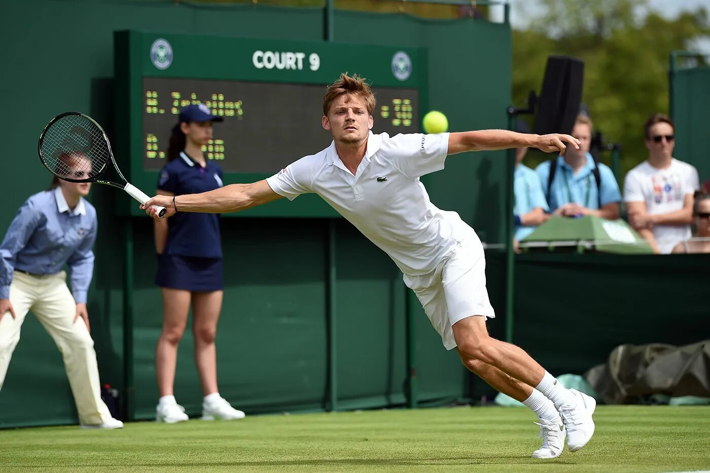 David Goffin Wimbledon. Большой теннис для студентов. Студенты теннис. Сегодняшнее теннис результат