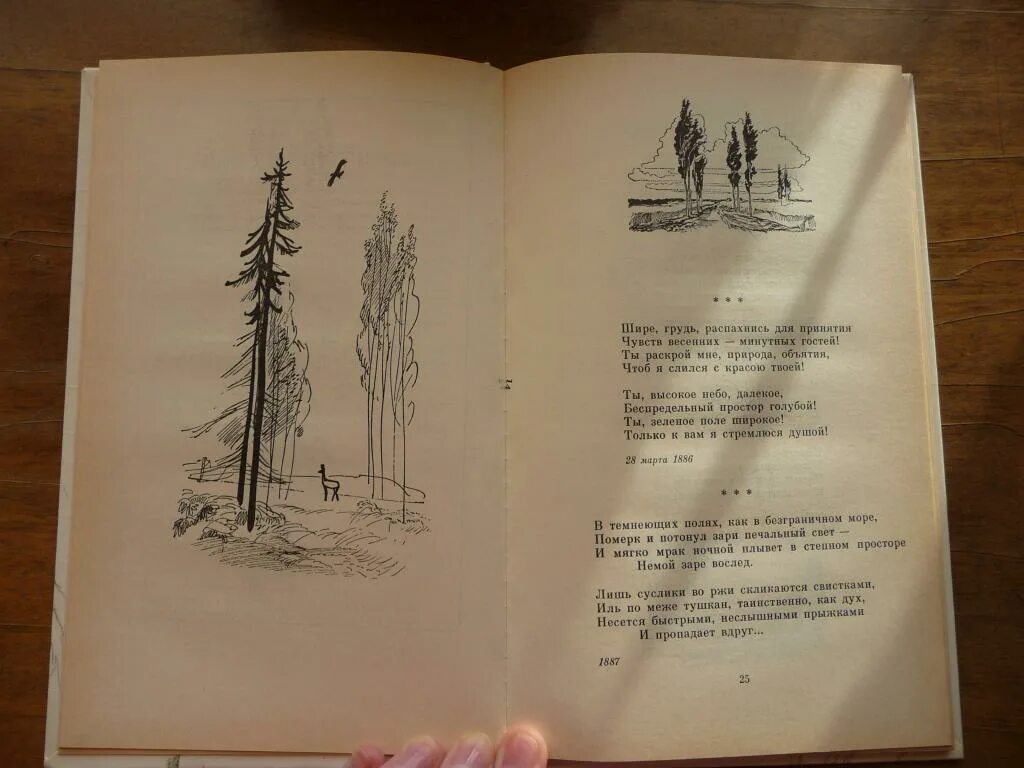 Стихотворение Бунина. Бунин стихотворения книга. Стих на проселке Бунин. Стихи про 1989 год. Стихотворение бунина у птицы есть гнездо