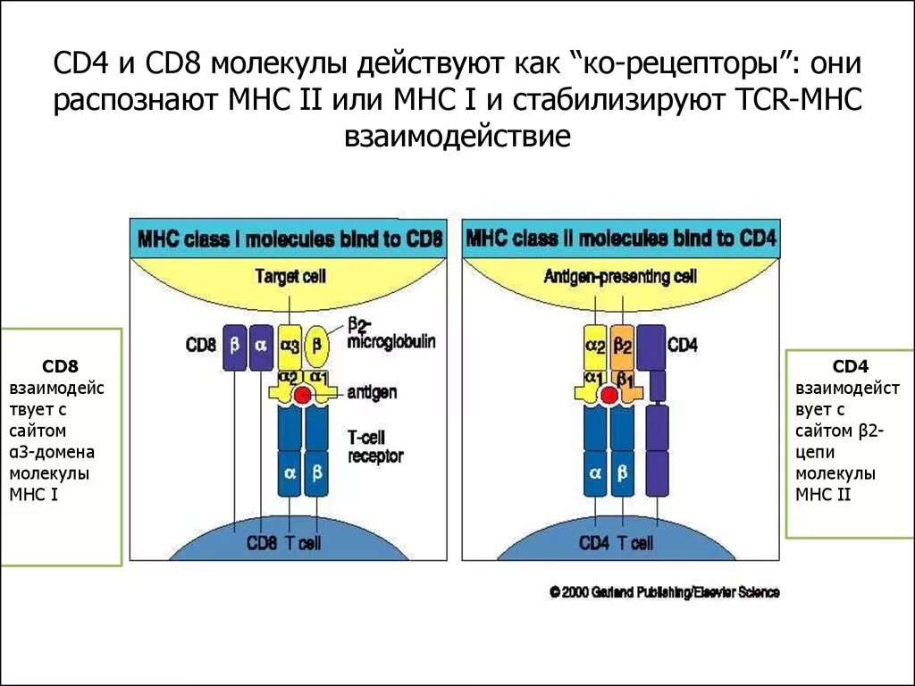 Cd значение