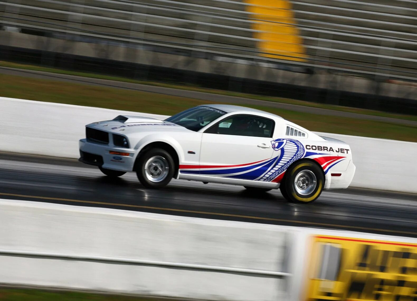 Ford Mustang Cobra Jet. Ford Mustang Cobra Jet 2020. Ford Mustang fr500. Форд Мустанг Кобра 2008. Cobra jet