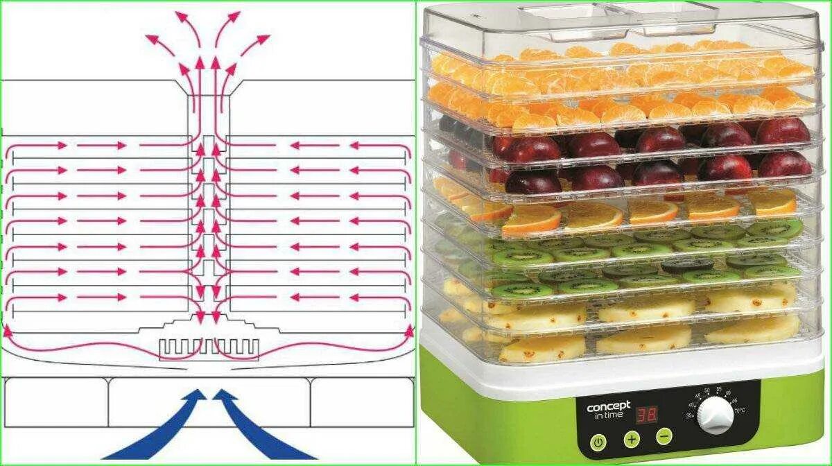 Делаем сушилку для фруктов. Сушилка WELLFORT 5 для овощей. Enerpia Daewoo сушилка для овощей. Сушилка Ocoo OCD-500b для овощей. Сушилки для овощей и фруктов Bosch 6612.