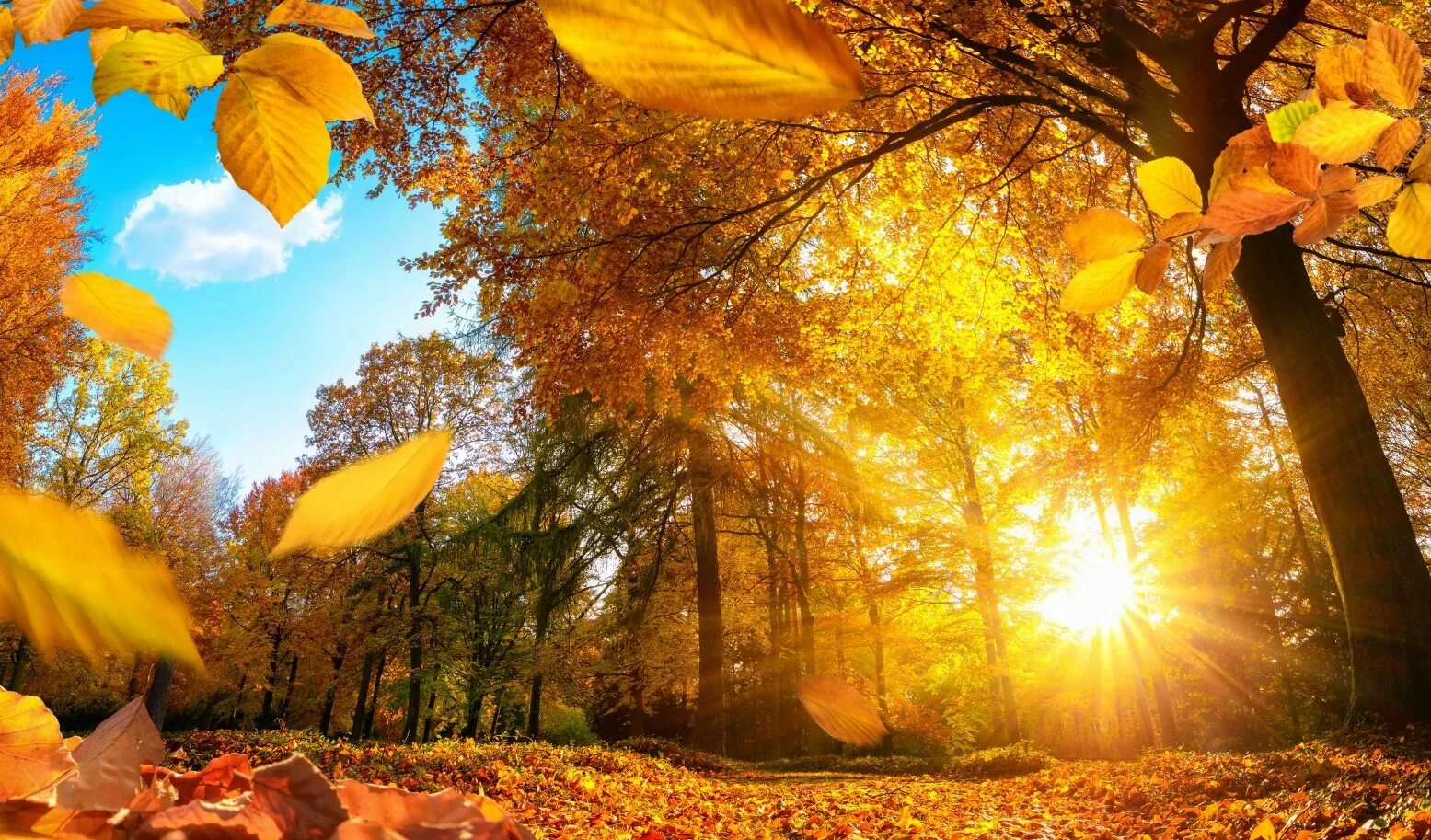 Октябрь природа. Солнечная осень. Осень на дню погода. Тёплая осень. Осенний дождь фото.
