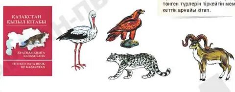 Мәскеудегі тәжірибелі транссексуалдар