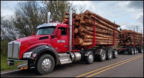 Big log