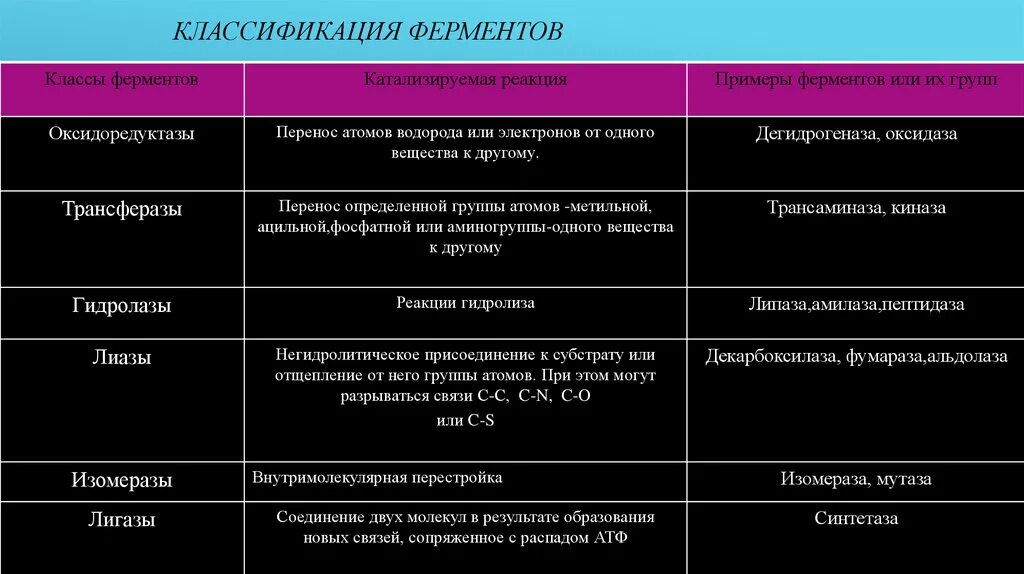 Химическая реакция катализируемая ферментом. Классы ферментов и их реакции. Классификация ферментов по механизму. Оксидоредуктазы классификация. Пептидазы класс ферментов.