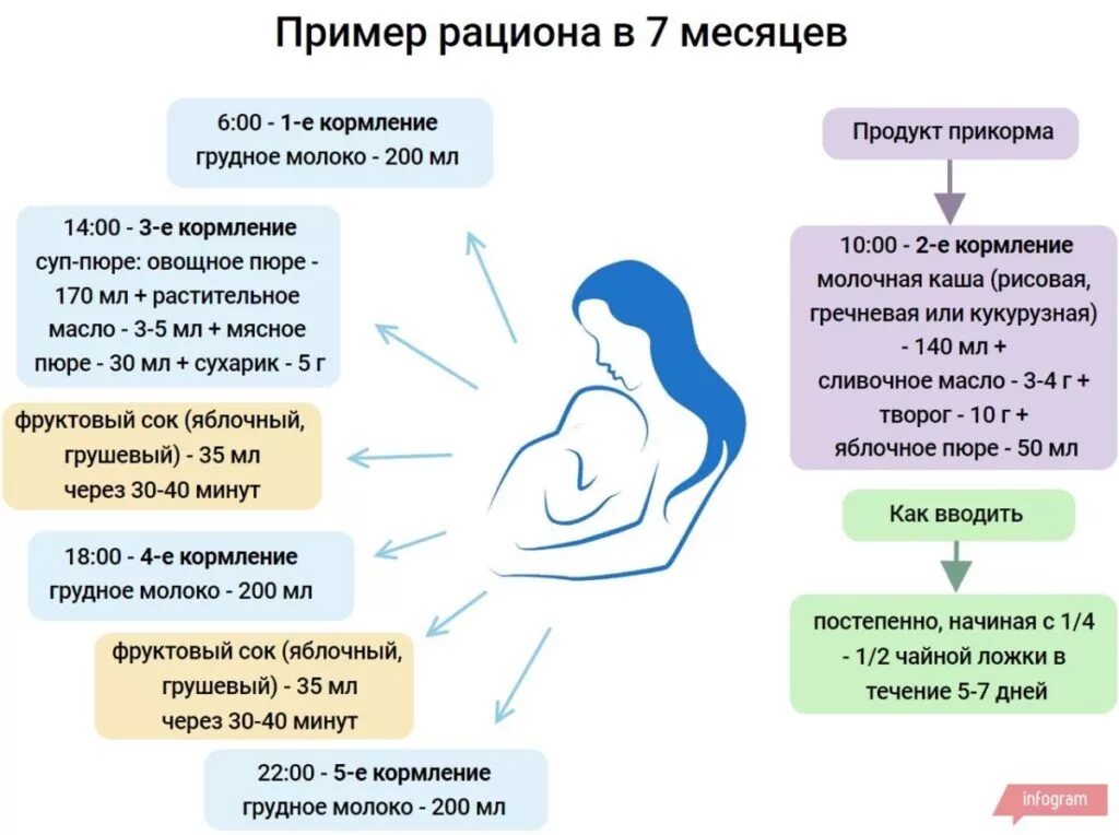 Рацион питания ребёнка в 7 месяцев. 7 Месяцев ребенку питание на гв. Кормление ребёнка в 7 месяцев на искусственном вскармливании. Питание малыша в 7 месяцев на грудном вскармливании.