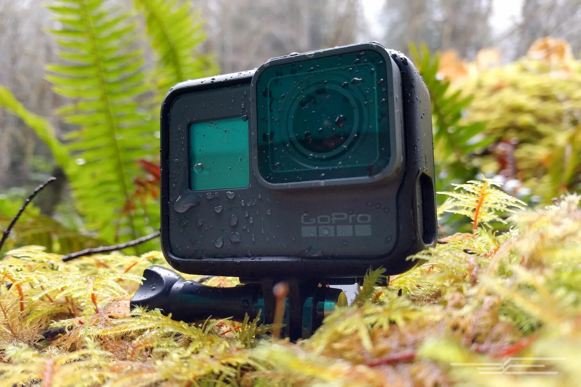 слетела прошивка гоупро 8. голпро 10. прошивка экшн камеры. Hawkeye firefly whoop. прошивка экшн камеры.