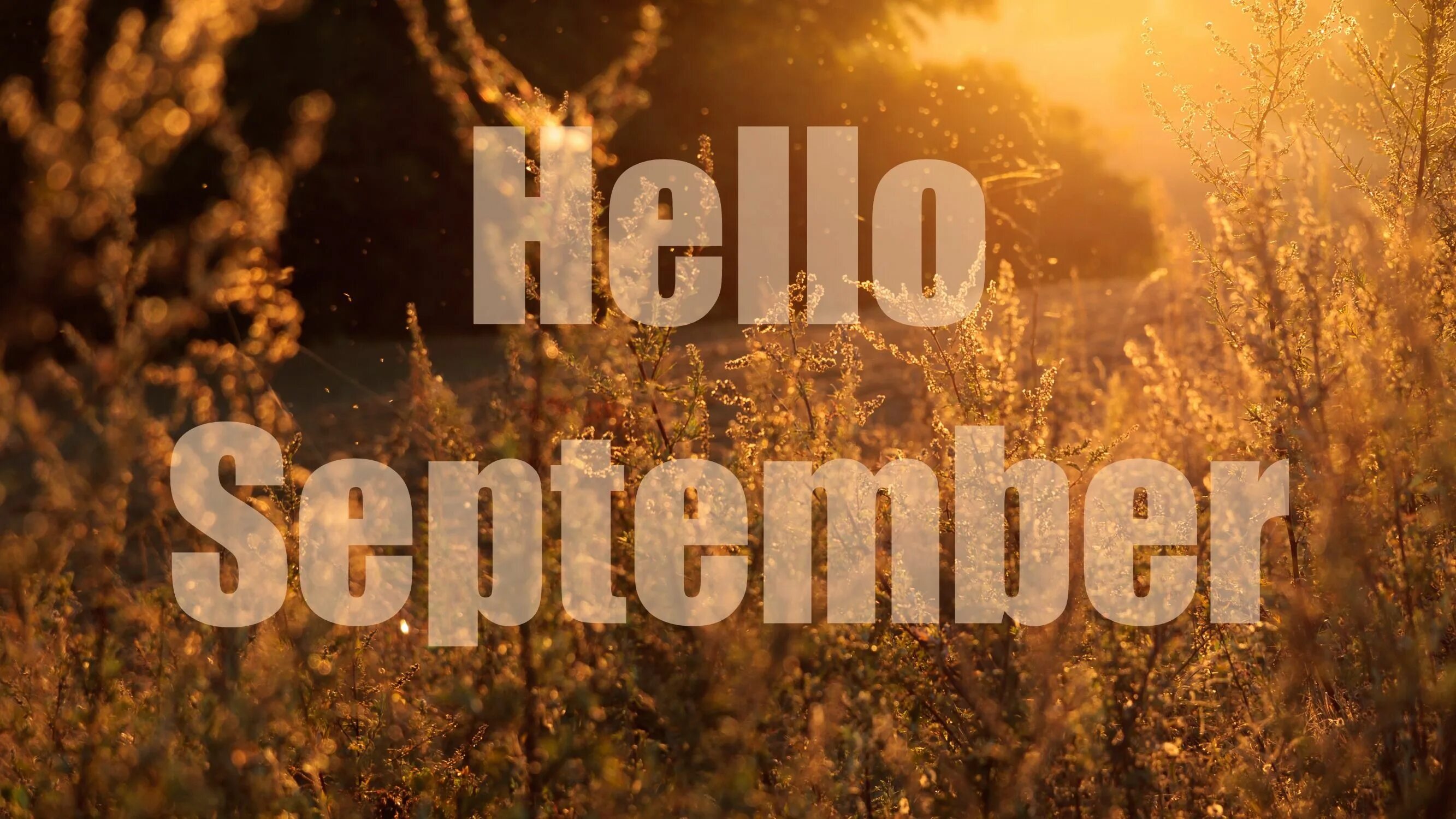 Арт хелло. Hello сентябрь. Hello September картинки. Картинки hello сентябрь. Название September.