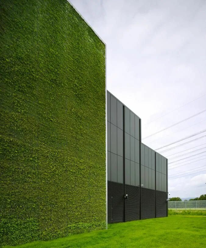 Walls ways. Зеленый фасад. Вертикальное Озеленение фасадов. Зеленые фасады зданий. Зелень на фасаде.