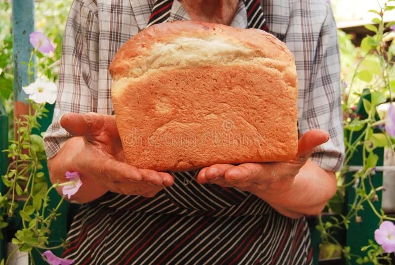 Бабушка с хлебом. Бабулин хлеб. Бабушка с хлебом в руках. Картинки старушка и хлеб.
