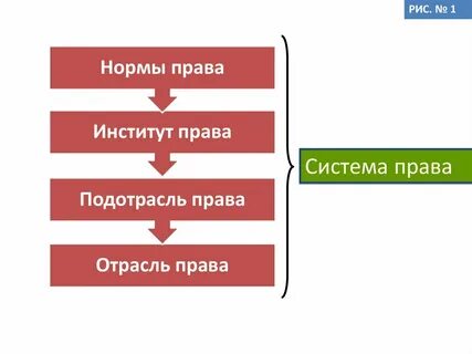 Отличие института от отрасли