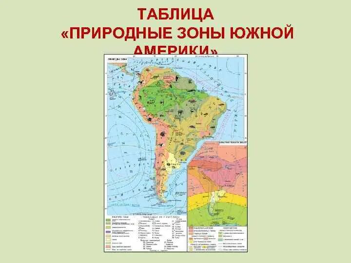 Карта природных зон Южной Америки. Карта природных зон Южной Америки 7 класс география. Атлас 7 класс география Южная Америка природные зоны. Географические пояса и природные зоны Южной Америки. Основные особенности природных зон бразилии кратко