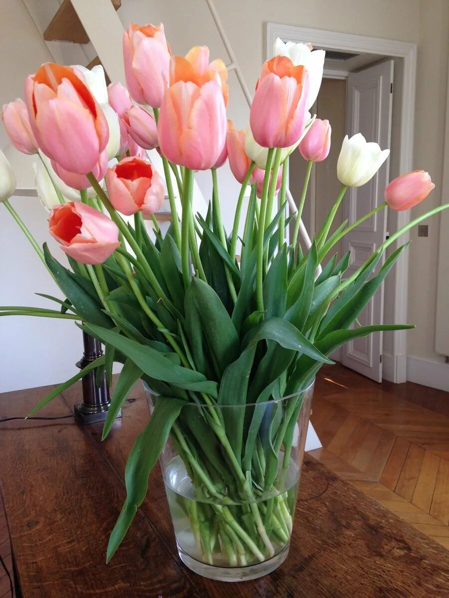 Dome тюльпаны (Tulips) 031003. Тюльпаны в вазе. Букет тюльпанов в вазе. Красивые тюльпаны в вазе. Фото тюльпанов в букете дома