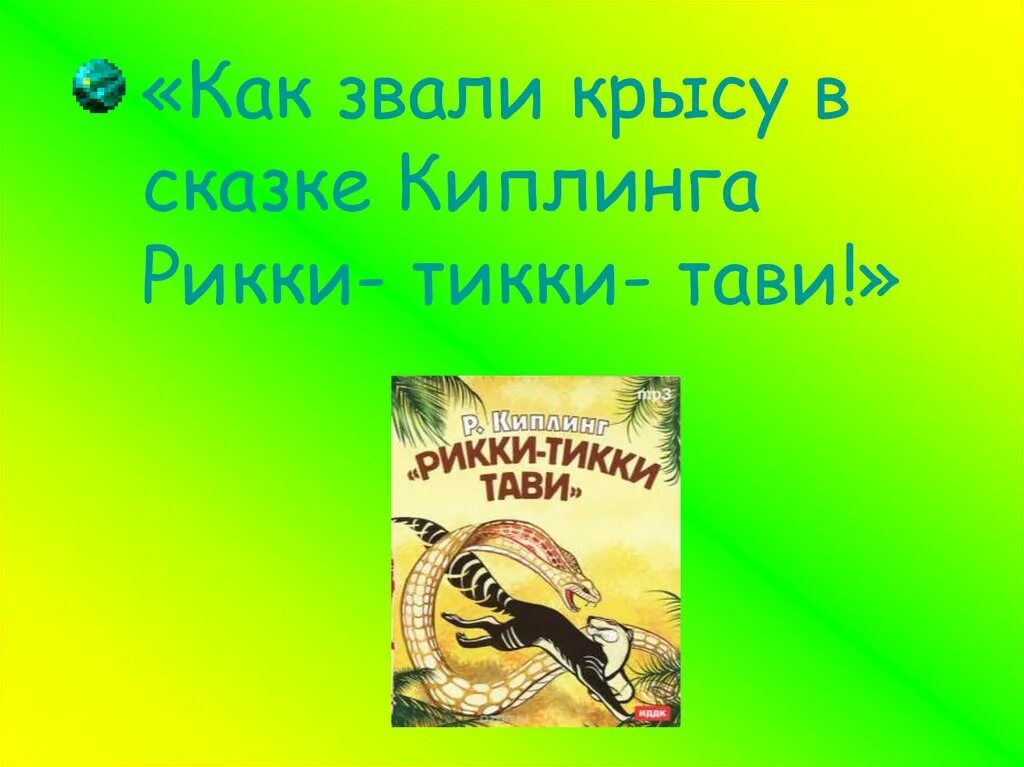 Крыса в Рики Тики Тави. Рикки Тикки Тави как звали. Как звали крысу в Рики Тики Тави. Крыса чучундра из Рикки Тикки Тави.