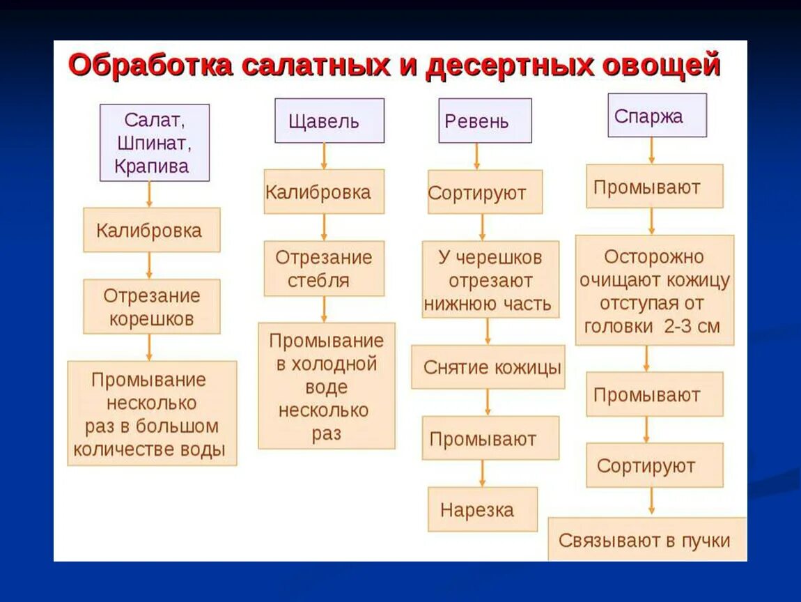 Этапы обработки овощей. Технологическая схема обработки клубнеплодов. Технологическая схема первичной обработки капустных овощей. Схема механической обработки клубнеплодов. Схема механической кулинарной обработки клубнеплодов.